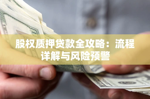 北京股权质押贷款全攻略：流程详解与风险预警