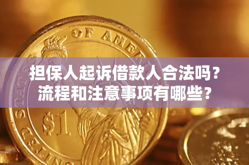 北京担保人起诉借款人合法吗？流程和注意事项有哪些？