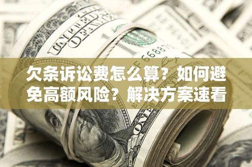 北京欠条诉讼费怎么算？如何避免高额风险？解决方案速看！