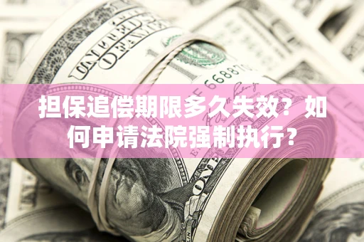北京担保追偿期限多久失效？如何申请法院强制执行？